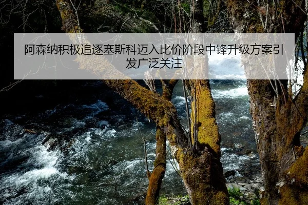 阿森纳积极追逐塞斯科迈入比价阶段中锋升级方案引发广泛关注