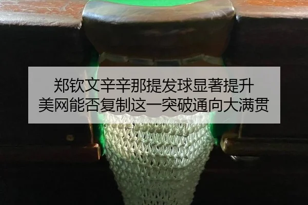 zheng-qin-wen-xin-xin-na-ti-fa-qiu-xian-zhu-ti-sheng-mei-wang-neng-fou-fu-zhi-zhe-yi-tu-po-tong-xiang-da-man-guan-2-279.jpg