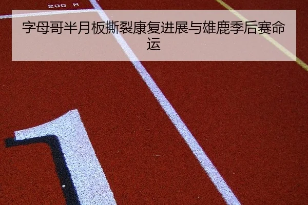 字母哥半月板撕裂康复进展与雄鹿季后赛命运